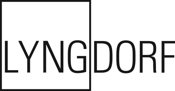 Lyngdorf TDAI-2210 streaming amplifier