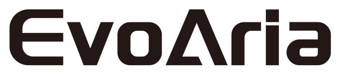 EvoAria Evo Era All in One DAC Amplifier
